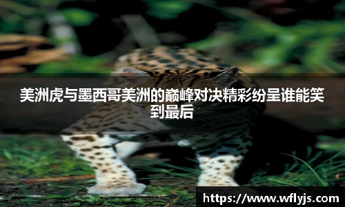 8188www威尼斯游戏